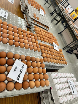 2024年の食べ放題ブース