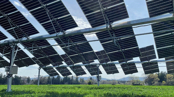 耕地を活用した営農型太陽光発電