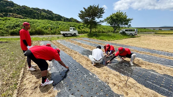 作物は自炊や販売も
