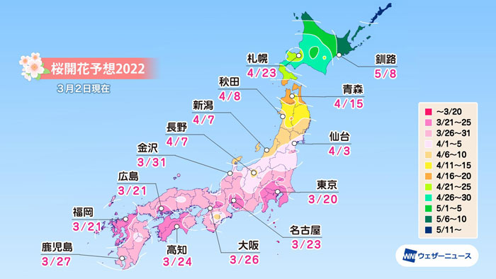 第4回桜開花予想　東京は3月20日　西・東日本は平年並　ウェザーニューズ