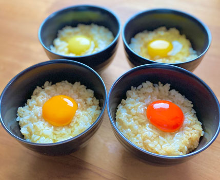 「幻の卵屋さん」JR大阪駅で25日から出店　日本たまごかけごはん研究所