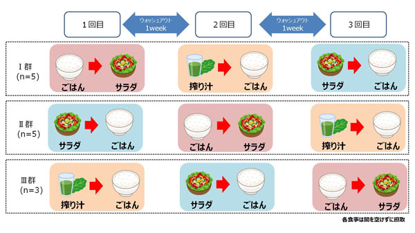 単回摂取クロスオーバー試験の概要