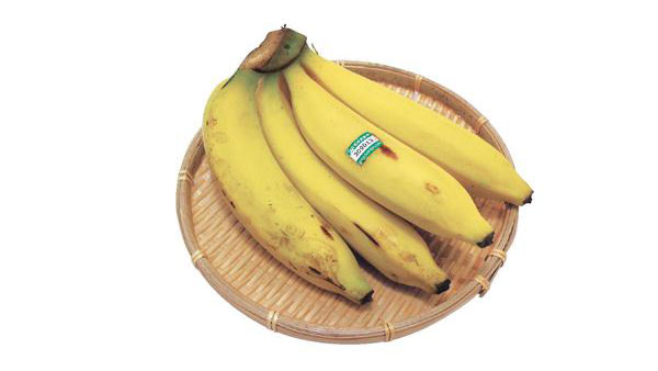人と環境にやさしいホムトンバナナ