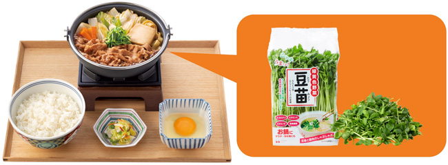 好評につき3年目「豆苗」が吉野家『牛すき鍋膳』具材に　村上農園