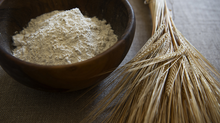 「粉」で広がるおいしい健康習慣「大麦粉」の普及プロジェクト始動　全国米麦改良協会