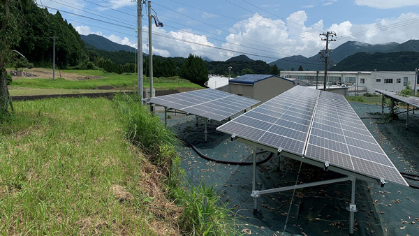 地上に設置された太陽光パネル