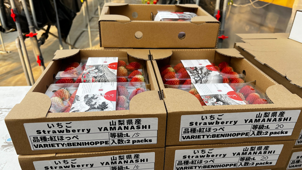 山梨県産として初めて台湾へいちご輸出　日本産いちごの販路拡大　日本農業
