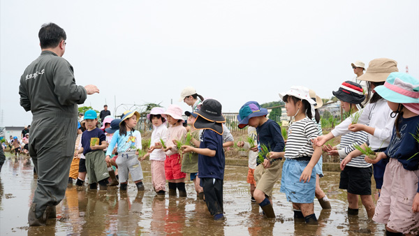 農大教員による田植指導