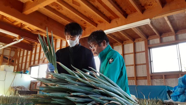 半農半Xで農家の作業を体験