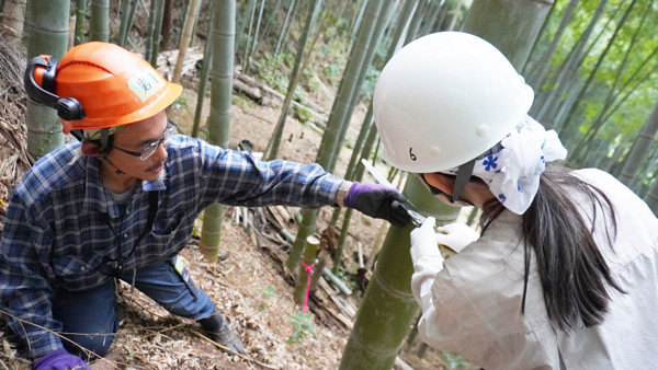 レクチャーを受けながら間伐
