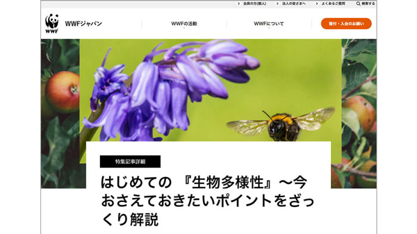 「EARTH HOUR 2023」はじめての「生物多様性」特設ページ公開　WWFジャパン