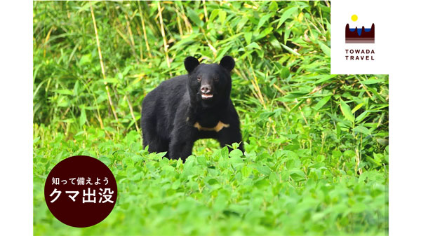 クマ出没の対処法を講じる「十和田奥入瀬観光講座」19日に開催