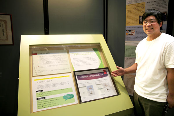 新種のハチを発見した豊橋市自然史博物館でボランティア活動をする森下さん