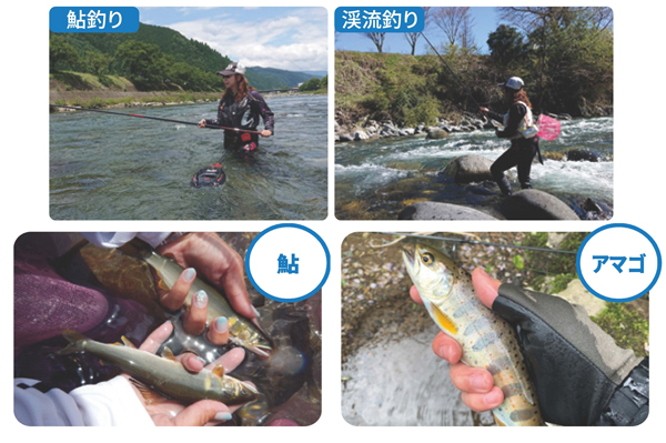 岐阜の渓流釣り