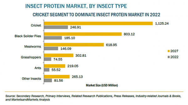昆虫タンパク質の市場規模　2027年に33億米ドル到達予測