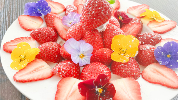 朝採りいちご×エディブルフラワー「完熟いちごの花畑かき氷」販売開始　美作農園