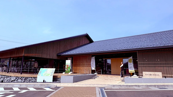 福井県あわら市　道の駅・蓮如の里あわらで「さつまいも収穫体験」開催.jpg