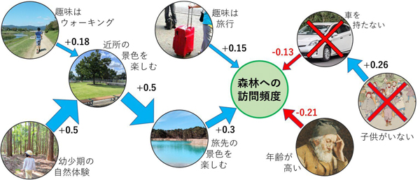 図1：森林への訪問に結びつく要因と、その因果関係