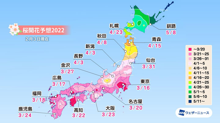 各都市の桜開花予想