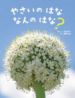 『やさいのはな なんのはな？』