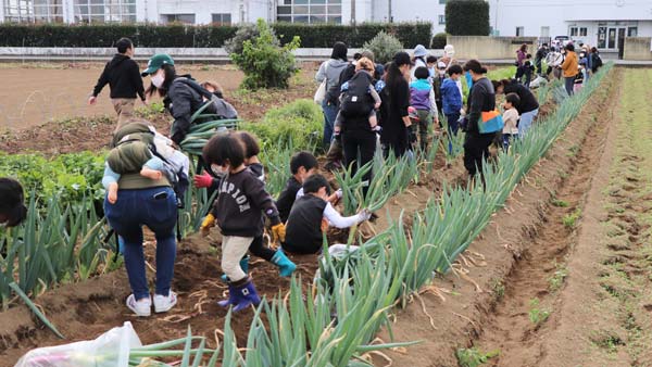 群馬産直協議会「めぐるんま」農業体験　季節の収穫最終回開催　パルシステム群馬