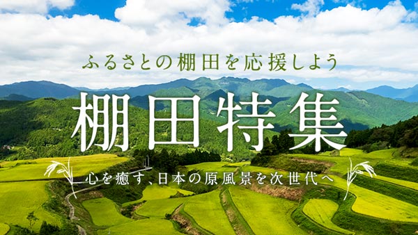 「ふるさと納税で応援！棚田特集」新たに6自治体の棚田を公開　さとふる