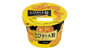 果肉感たっぷり 「とびきり大粒ヨーグルト みかん」新発売　北海道乳業