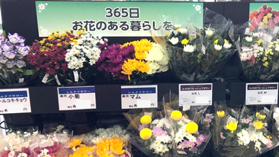 新鮮な切り花をお買い得価格で提供「花巻フレッシュマネジメントセンター」稼働　コメリ