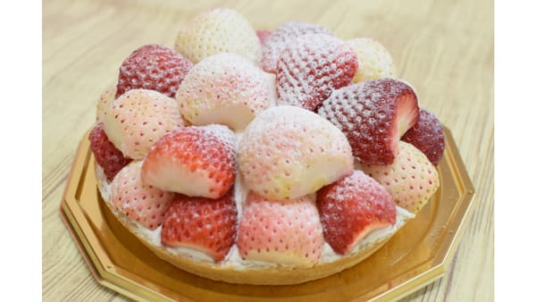 いちごの里紅白タルト