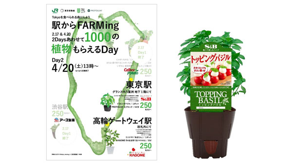 「駅からFARMing2024」東京駅でハーブ苗を無料配布　エスビー食品