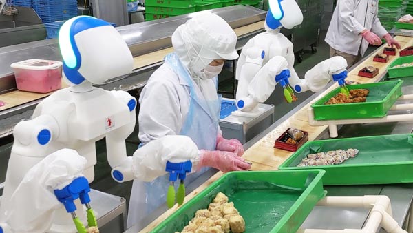 人型協働ロボット「Foodly」で弁当、レトルト惣菜を製造販売へ　アールティ