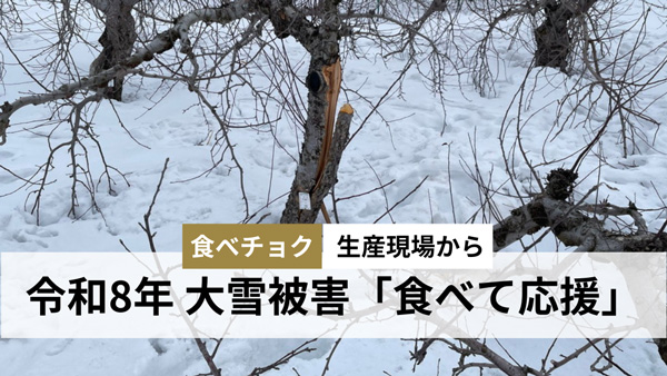令和8年大雪被災生産者の農産物を「食べて応援」特設ページ新設