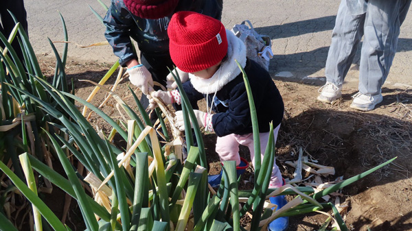2025年に開催したねぎ祭り