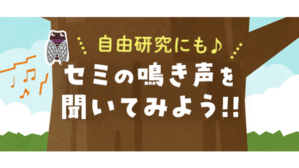 夏休み自由研究に「セミの鳴き声を聞いてみよう」WEBサイト公開　パルシステム.jpg