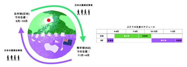 KNOWCHと協業　日本とニュージーランドで「農業人材循環制度」開始　GREENCOLLAR_01.jpg