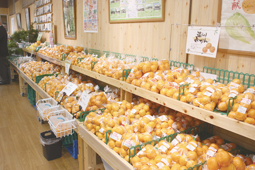 みかん売場（イメージ）