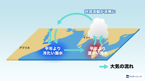 負のインド洋ダイポールモード現象　模式図
