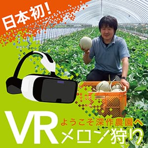 VR活用し老舗農園でメロン狩り体験　深作農園