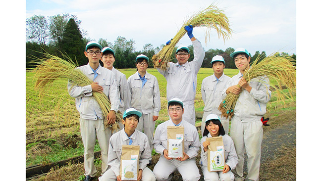 無添加糀あまざけの米作りを担った岩瀬農業高校の生徒