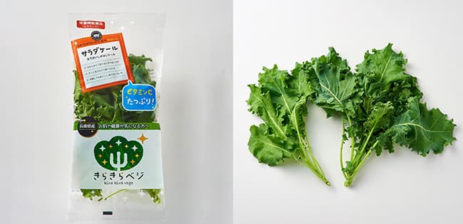 「サラダケール」は、独自栽培ノウハウにより、柔らかく、苦くない味を実現。一袋で一日に必要なビタミンCの1/3以上を摂れる