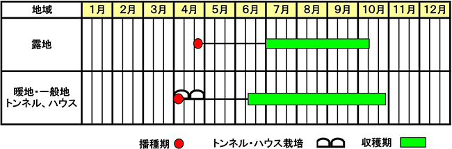 「ずーっとみどり」作型図（営利栽培向け）