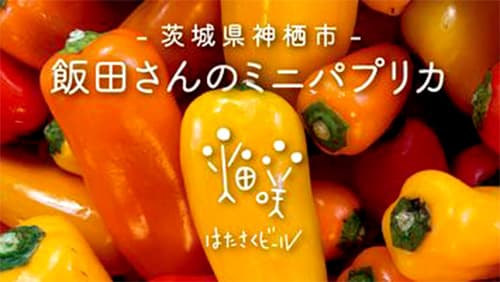 イチゴのように甘い「ミニパプリカ」のクラフトビール販売開始