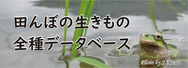 「田んぼの生きもの全種データベース」