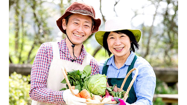 お気に入り農家から野菜が届く「ゴヒイキ」定期リクエストに2種類追加