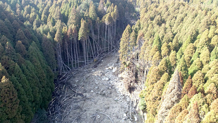 佐賀県森林整備課がテラドローン開発ソフト「Terra Mapper」導入へ