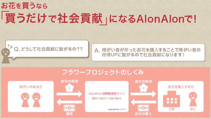 「AlonAlon 胡蝶蘭通販サイト」