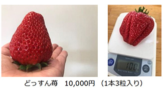 1位は「高級イチゴ」　「じゃらん」が選んだ食べてみたいお取り寄せイチゴ