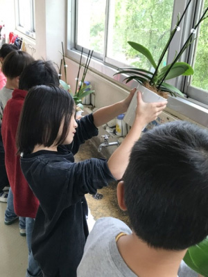 学校で胡蝶蘭を咲かせよう　心を育てる花育プロジェクト開始　椎名洋ラン園
