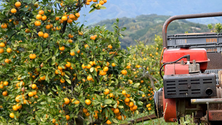 SDGs推進へ食品ロス削減に新たな挑戦　生産者を支える仕組みづくりに取り組み　BSMO