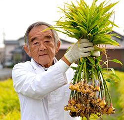 リタイア後にエコファーマーとして再出発した西原さん